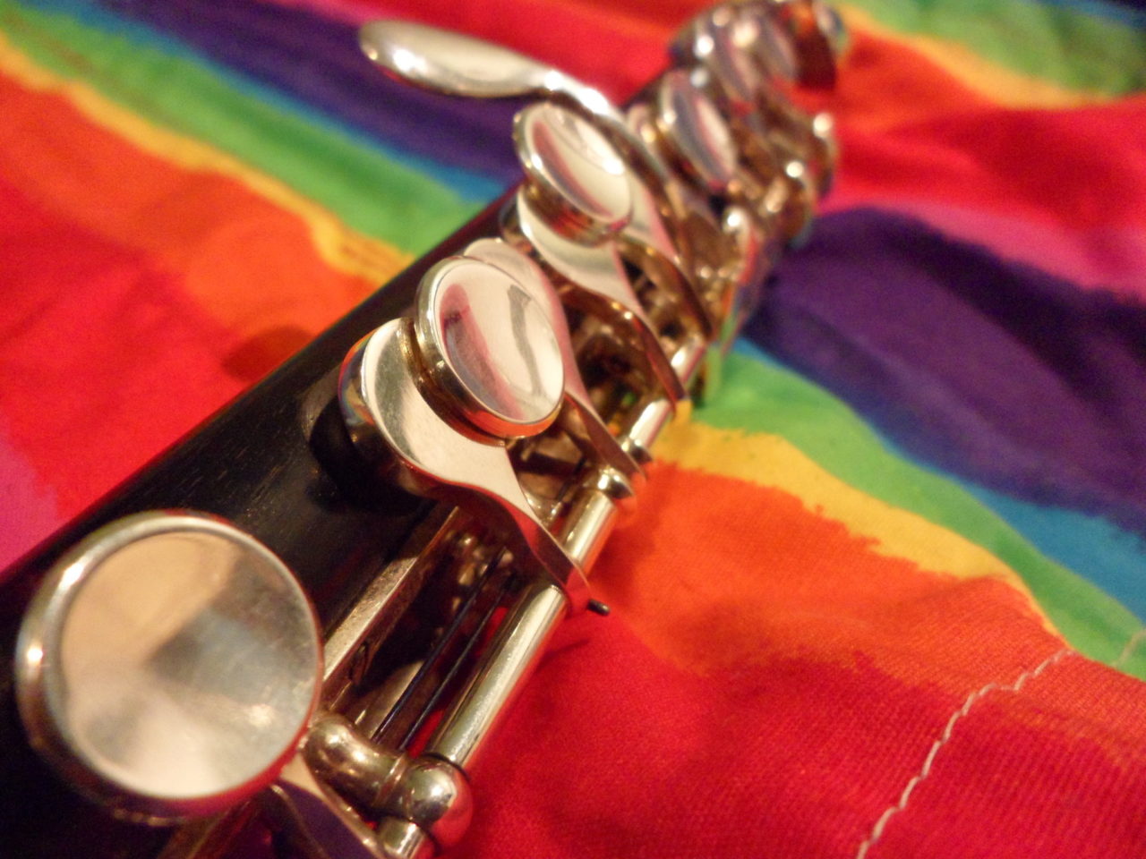 Rainbow flag with a piccolo on it