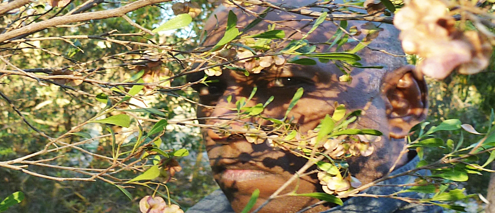 branches over a persons face