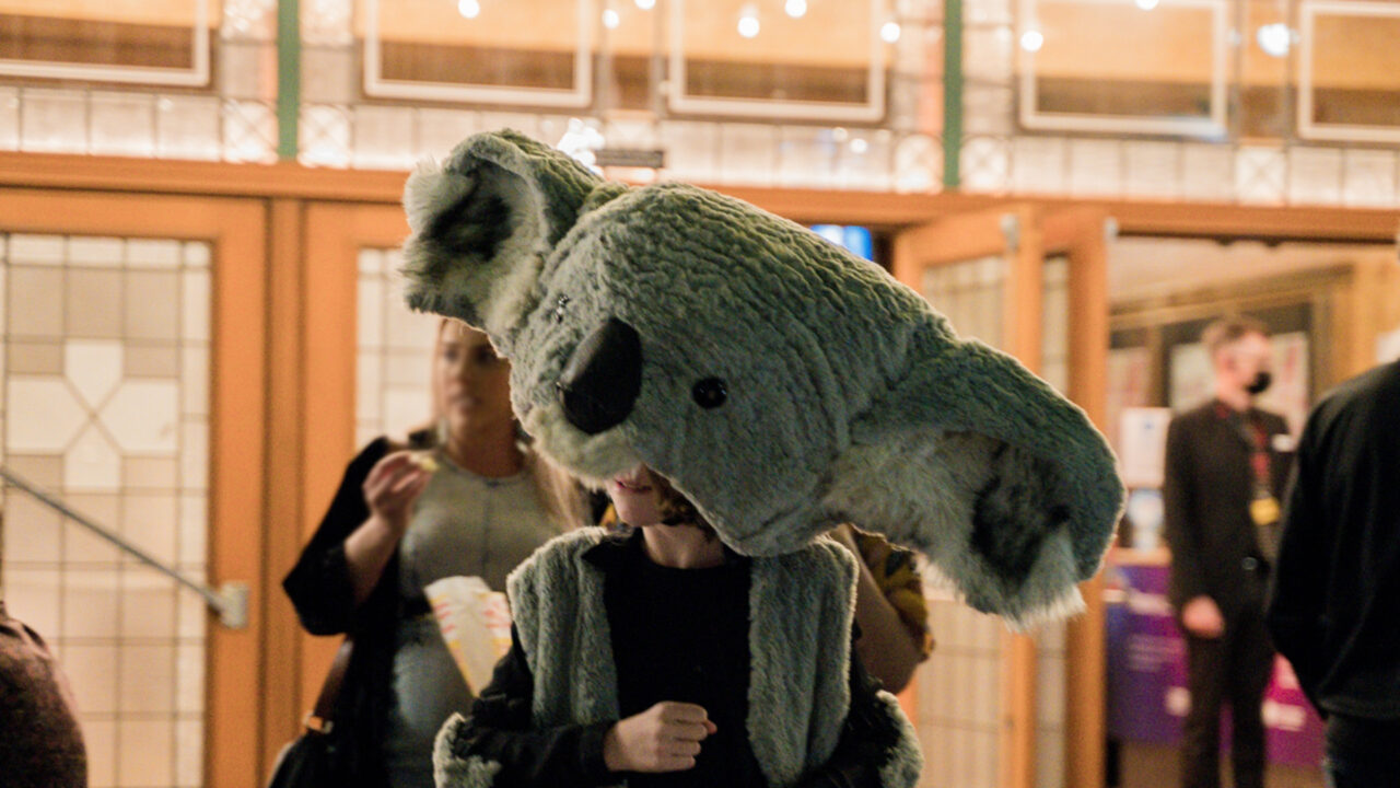 A person in a giant koala puppet head